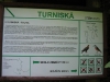 turniska5