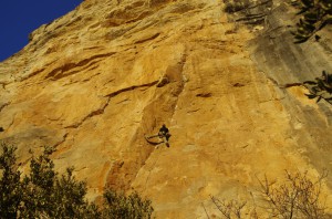 Pa Ella y pa los Guiris 7a+, Arboli